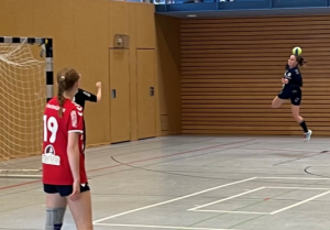 tor_fuer_schlutp_handball