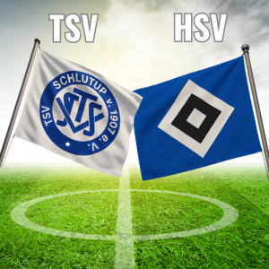 Freundschaftsspiel TSV gegen HSV